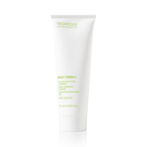 Vagheggi Bright Formula Regenerating Brightening Pigment Equalizer Mask 250ml — Masken Vagheggi Bright Formula Regenerating Brightening Pigment Equalizer Mask 250ml — Masken