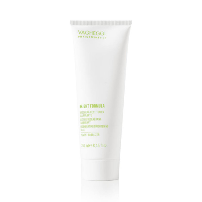 Vagheggi Bright Formula Regenerating Brightening Pigment Equalizer Mask 250ml — Masken Vagheggi Bright Formula Regenerating Brightening Pigment Equalizer Mask 250ml — Masken