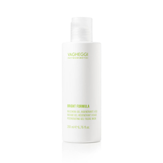 Vagheggi Bright Formula Regenerating Gel Face Mask 200ml — Masken Vagheggi Bright Formula Regenerating Gel Face Mask 200ml — Masken